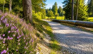 a gravel road with purple flowers on the side at Koča Rakitna Forest Chalet with Sauna in Preserje +4 photos