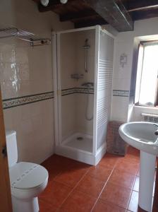 a bathroom with a shower and a toilet and a sink at Romallande in Cabrafigal