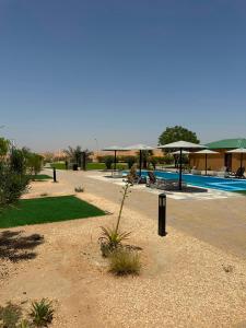 a resort with a pool and a plant in a yard at Desert Inn Resort and Camp in Ras al Khaimah