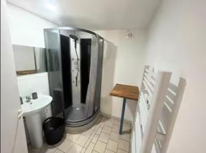 a small bathroom with a shower and a sink at Studio avec terrasse in Château-lʼÉvêque