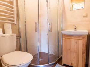 a bathroom with a shower and a toilet and a sink at Domki u Teresy in Dębno