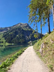 a dirt road next to a body of water at Apartment Austria in Tannheim