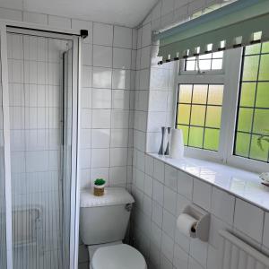 a white bathroom with a toilet and a window at Rizvi house in Moston +1 photo