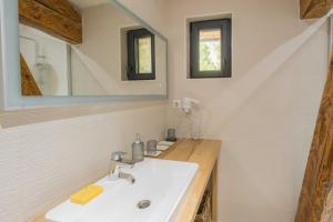 a bathroom with a sink and a mirror at Gite - La grange Tima in Orgeix +26 photos