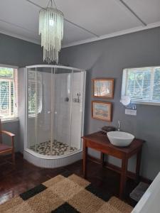 a bathroom with a shower with a sink at Burnham Road Suite Guest House in Bulawayo