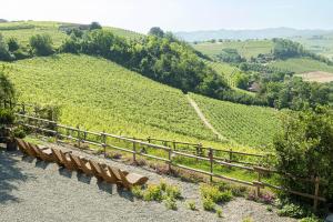 a bench on the side of a hill with a vineyard at Agriturismo Albarossa in Nizza Monferrato