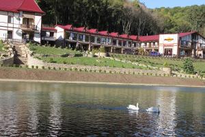 MishyN-City Hotel في Dobrowlany: بجعتين تسبحان في بحيرة أمام مبنى