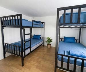two bunk beds in a room with blue pillows at MoovInn Garden Guesthouse in Ko Tao +29 photos