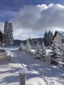 a snow covered yard with trees and a house at Apartman Ena in Vlasic