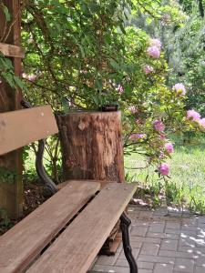 a wooden bench sitting next to a tree stump at Bungalow im Künstlergarten in Bad Muskau