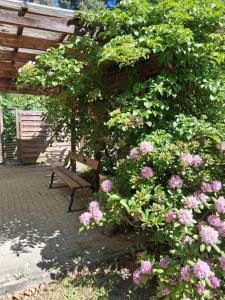 a park bench sitting next to a bush of flowers at Bungalow im Künstlergarten in Bad Muskau
