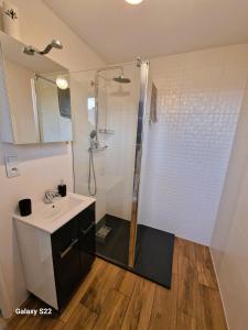 a bathroom with a shower and a sink and a mirror at Pokoje Roztoki 4a in Rabka-Zdrój