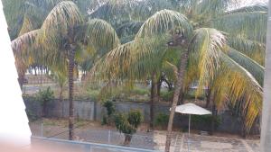 Сад в Villa Bienvenue Beachfront House