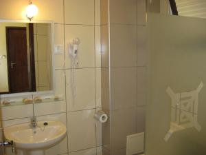 Koupelna v ubytování Asti Arthotel
