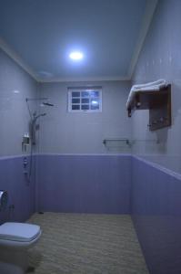 a bathroom with a toilet and a shower and a window at Vista Villa in Hithadhoo