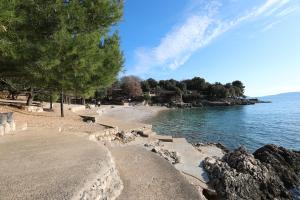 a sandy beach with trees and the water at Apartman BARONI in Pinezici