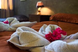 Ảnh trong thư viện ảnh của Casa Drake Lodge ở Drake +145 ảnh