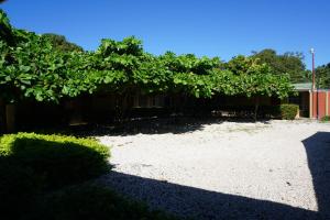 Taman di luar Villa Vilar