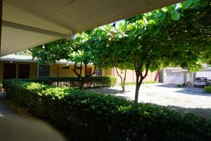 Taman di luar Villa Vilar
