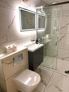 a bathroom with a toilet and a shower and a sink at Luxury Holt Duplex with Bath Suite in Holt