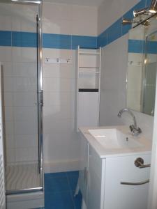 La salle de bains est pourvue d'une douche et d'un lavabo. dans l'établissement Appartement Kervoyal, à Kervoyal