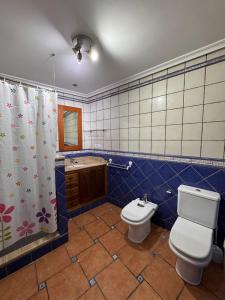 a bathroom with a toilet and a shower and a sink at Casa Carmen II in Montoro