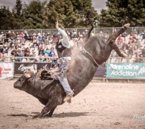 a man riding on the back of a bull at a rodeo at La Salamandre in Saint-Agrève