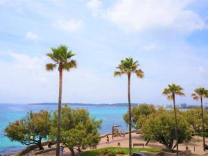 a group of palm trees next to the ocean at La perla del mar 2 in Son Servera
