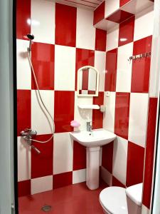 a bathroom with a red and white checkered wall at Wooden Cottage in Makhinjauri +110 photos