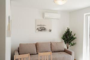a living room with a couch and a plant at GARDEN in Nerezine