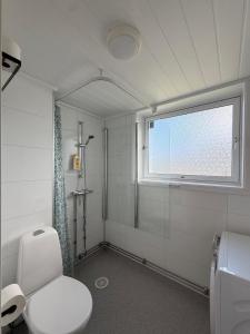 a bathroom with a toilet and a window at Rygge Apartments in Moss +41 photos