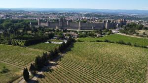 an aerial view of a vineyard with a castle at Le Tonneau in Carcassonne