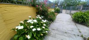 a yellow wall with a bunch of flowers on it at B&B Leonda in San Donato