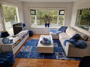 a living room with a couch and a tv at Watercabin in Ooltgensplaat in Ooltgensplaat