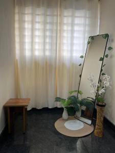 a room with a mirror and a table with plants at The Heritage Homes in Mysore
