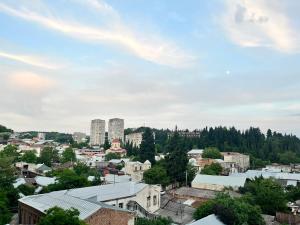 a view of a city with buildings and trees at Dadiani Apartment in Tbilisi City