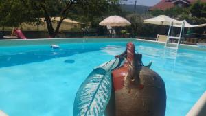 a pool with a inflatablelatable boat in the water at B&b Oca Carolina in Buttigliera Alta
