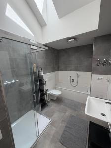 a bathroom with a shower and a toilet and a sink at NB14-1 Living in Weingarten (Karlsruhe)