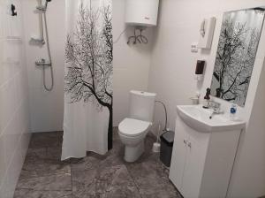a bathroom with a toilet and a shower and a sink at BALTĀ māja in Aglona