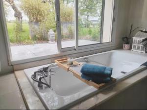 a kitchen sink with a window and a blue towel at Les Jardins de la Pinellerie in Vue +5 photos