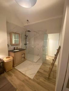 a bathroom with a shower and a sink and a mirror at Charmante maison in Namur