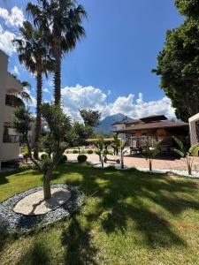 ein Garten mit einer Palme und einem Gebäude in der Unterkunft Uraz Hotel in Kemer