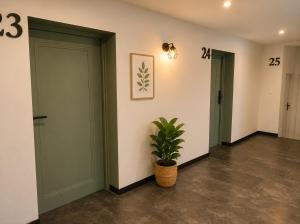 a hallway with two doors and a potted plant at Komfortowe Apartamenty i Pokoje Powidz in Powidz