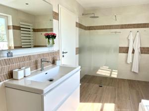 a bathroom with a white sink and a mirror at Ferienhaus Sundevit - exklusives Ferienhaus mit Infrarotsauna, Whirlpool-Wanne und Kamin in Putgarten