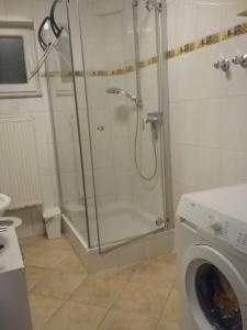 a shower in a bathroom with a washing machine at FERIENWOHNUNG Marina in Bad Ems