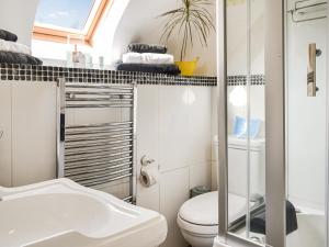 a bathroom with a toilet and a sink at Peacock Cottage - Uk36422 in Talybont