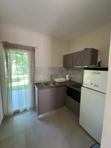 a small kitchen with a sink and a refrigerator at Kalouda Rooms in Paralía Skotínis +53 photos
