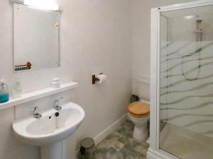 a bathroom with a toilet and a sink and a shower at Bournestream Cottage in Withycombe +4 photos