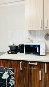 a microwave sitting on top of a kitchen counter at Asia-palace in Chon-Sary-Oy