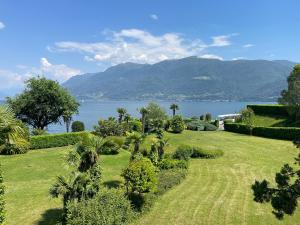 a garden with palm trees and a view of the water at Portofino by Fewotessin in Brissago